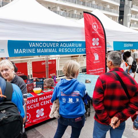 Vancouver marine mammal rescue centre booth at Port Day